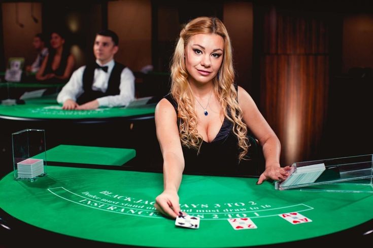 Dove Slots Welcome Bonus